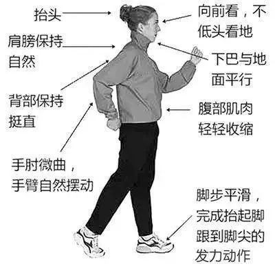 微信图片_20200617180937.jpg